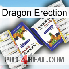 Dragon Erection 12